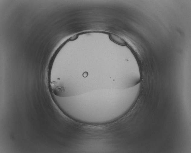 X0000116331468200912291543