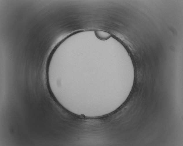 X0000116331469200912291543