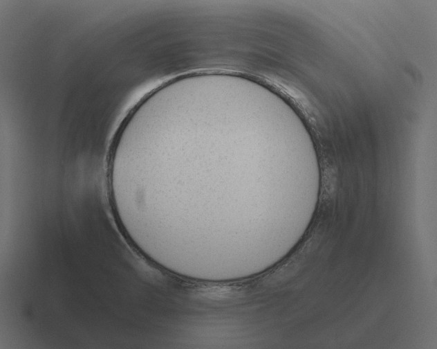 X0000116331470200912291543