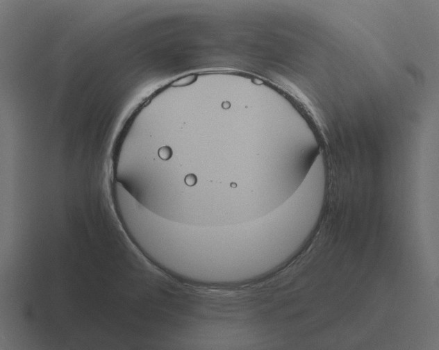 X0000116331472200912291543