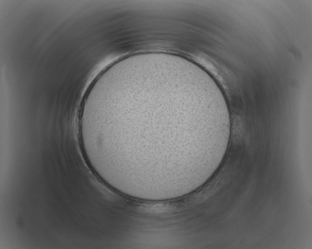 X0000116331474200912291543