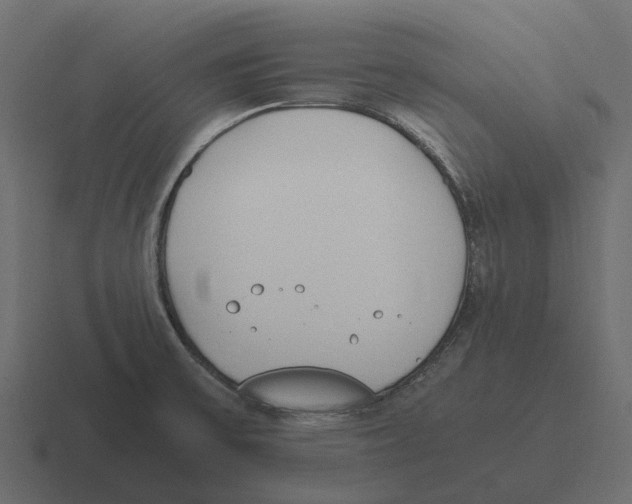 X0000116331475200912291543