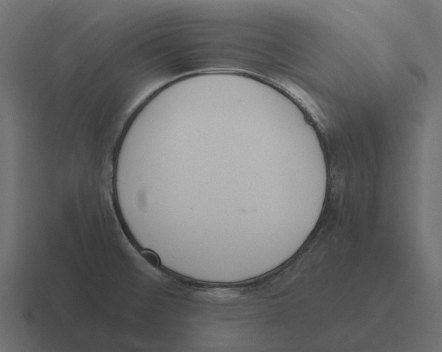 X0000116331476200912291543