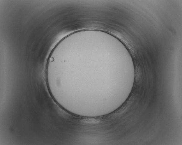 X0000116331478200912291543