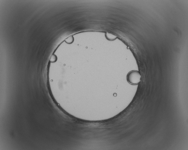 X0000116331479200912291543