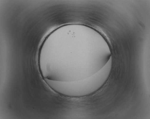 X0000116331480200912291543