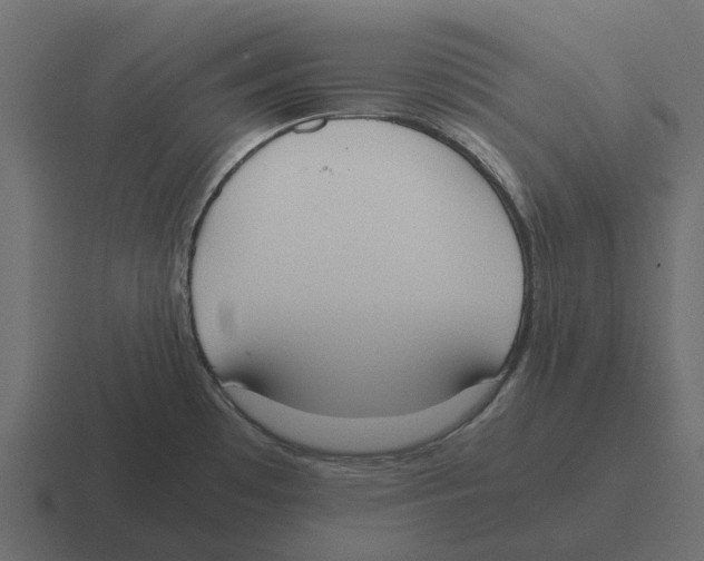 X0000116331481200912291543