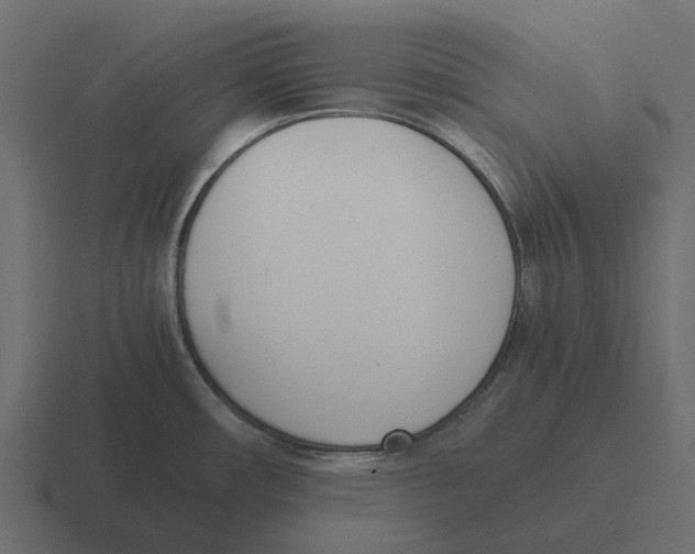 X0000116331482200912291543