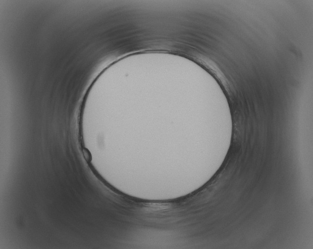 X0000116331483200912291543