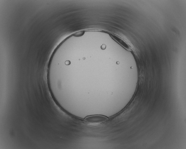 X0000116331484200912291543