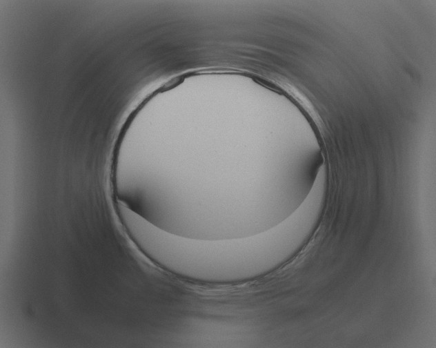 X0000116331485200912291543