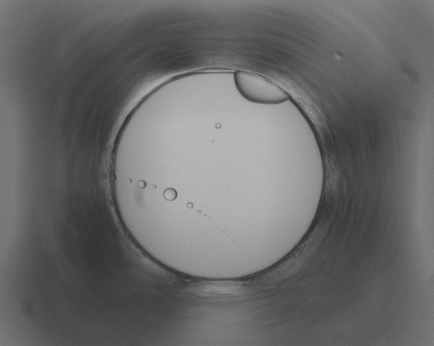 X0000116331486200912291543