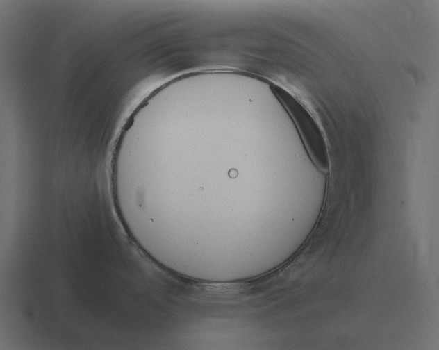 X0000116331488200912291543