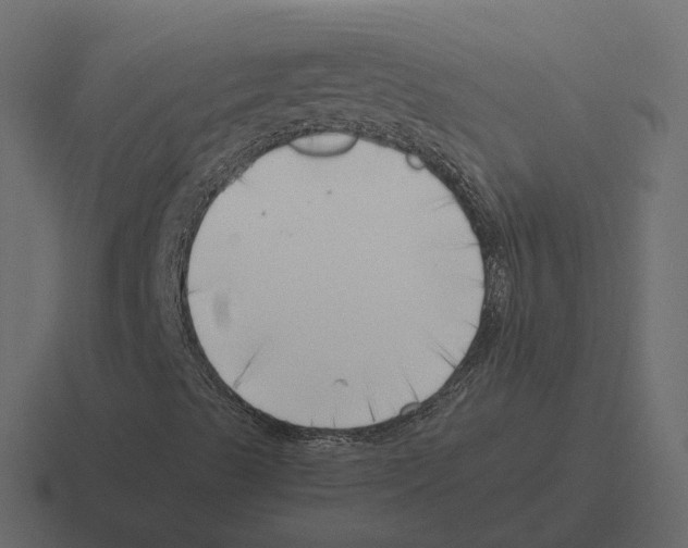 X0000116331489200912291542