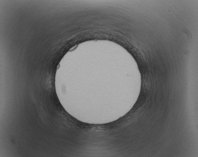 X0000116331490200912291542