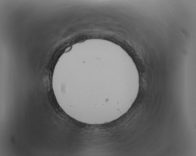 X0000116331493200912291542