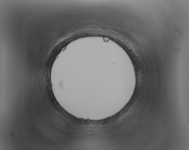 X0000116331494200912291542