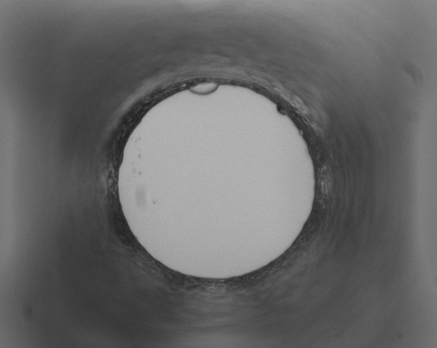 X0000116331495200912291542