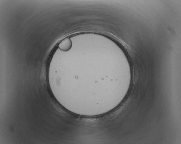 X0000116331498200912291542