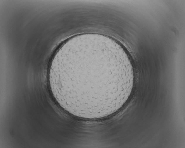 X0000116331499200912291542