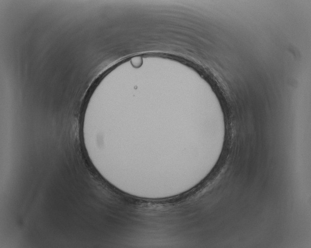 X0000116331505200912291542