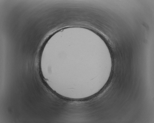 X0000116331506200912291542