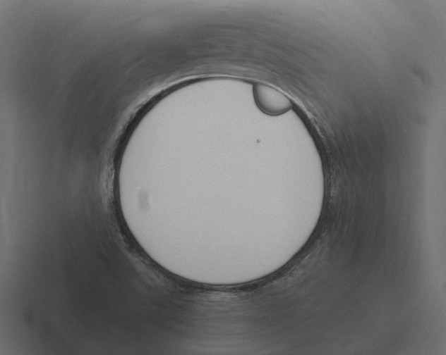 X0000116331507200912291542