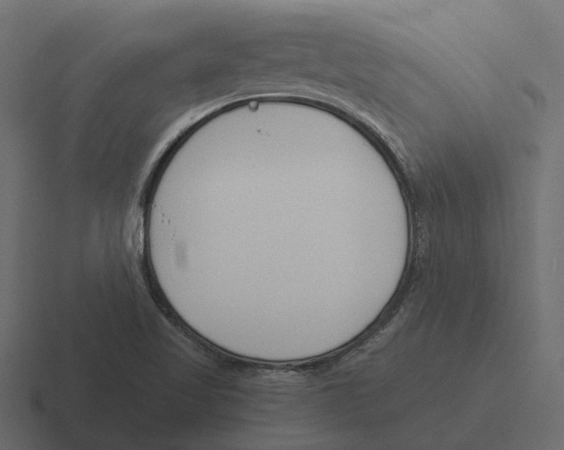 X0000116331509200912291542