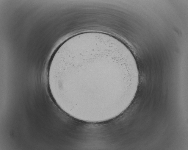 X0000116331514200912291543