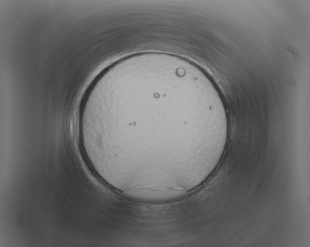 X0000116331515200912291543