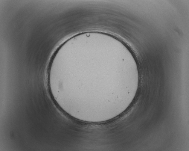 X0000116331517200912291543