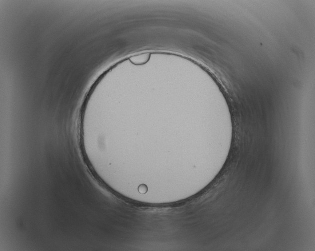 X0000116331519200912291543