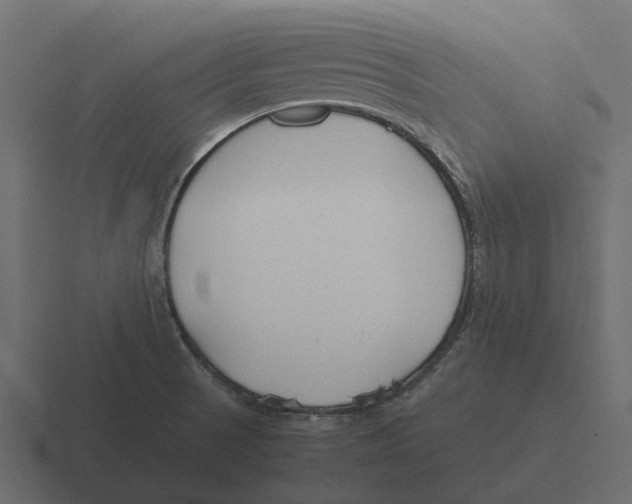 X0000116331521200912291543