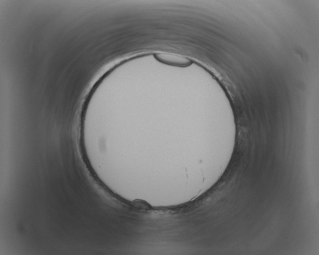 X0000116331523200912291543