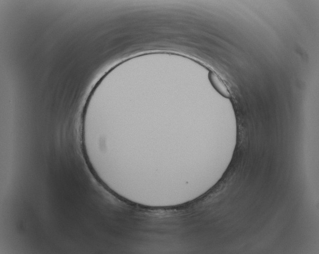 X0000116331527200912291543