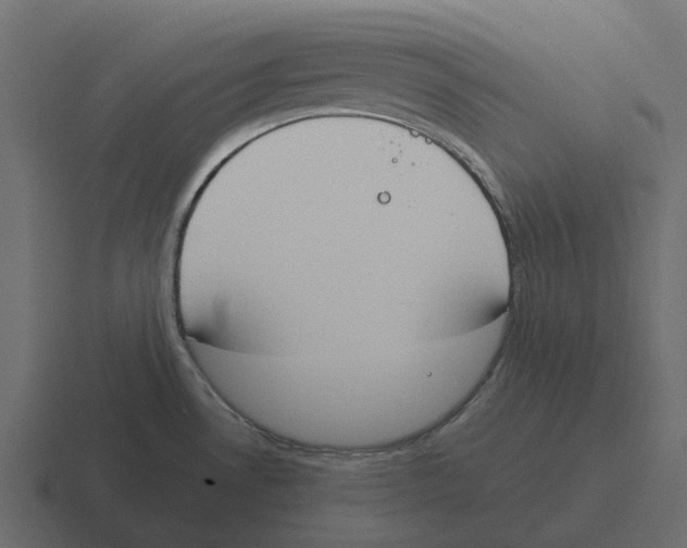 X0000116331530200912291543