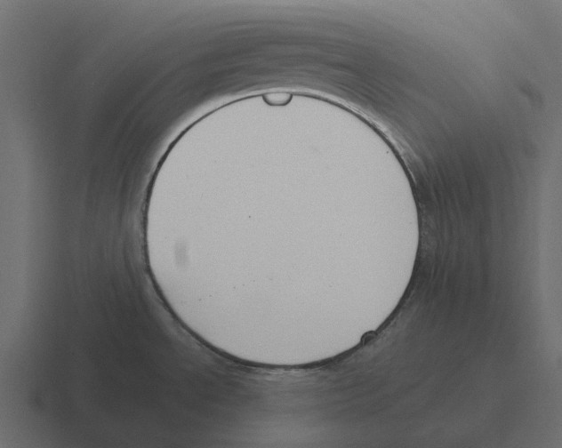 X0000116331534200912291543