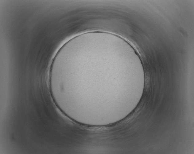 X0000116331535200912291543