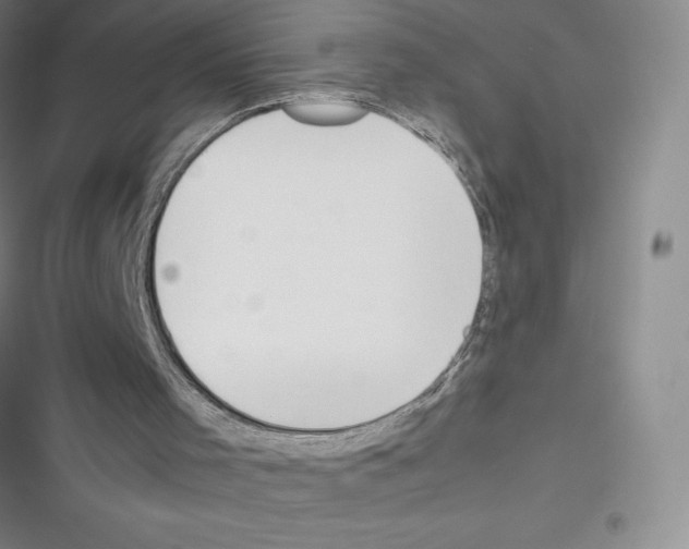 X0000116330001201001131034