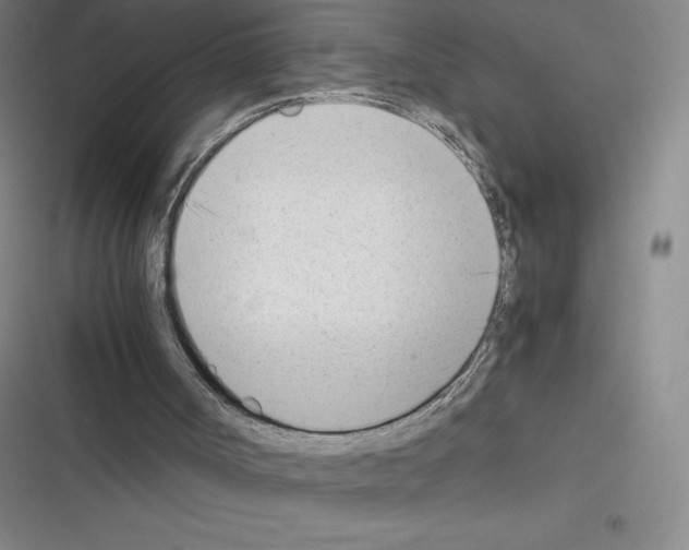 X0000116330002201001131034