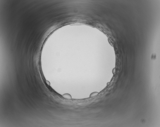 X0000116330003201001131034