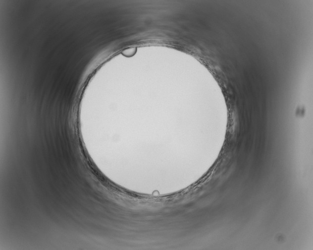 X0000116330004201001131034