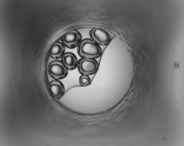 X0000116330005201001131034