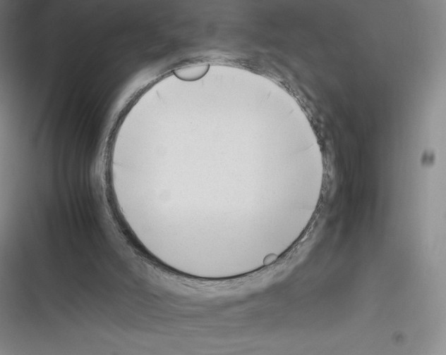 X0000116330006201001131034