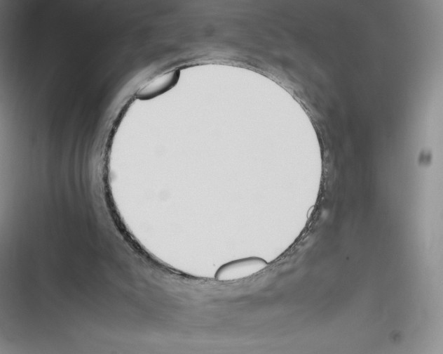 X0000116330007201001131034
