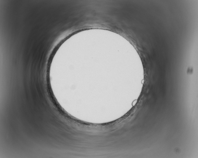 X0000116330008201001131034