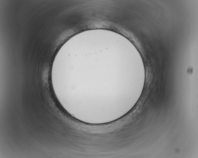 X0000116330010201001131034