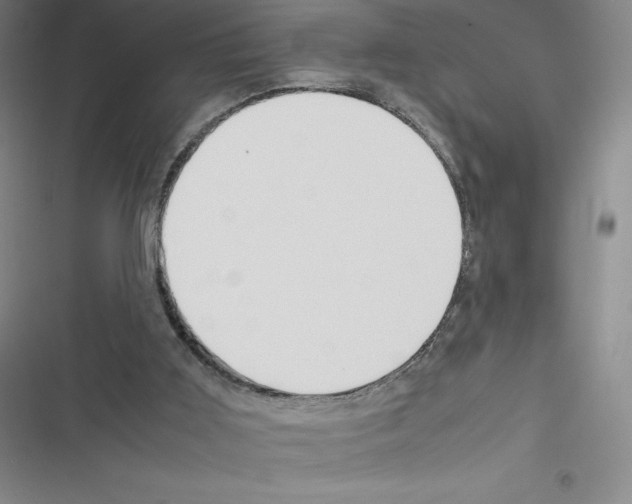 X0000116330011201001131034