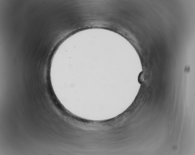 X0000116330012201001131034