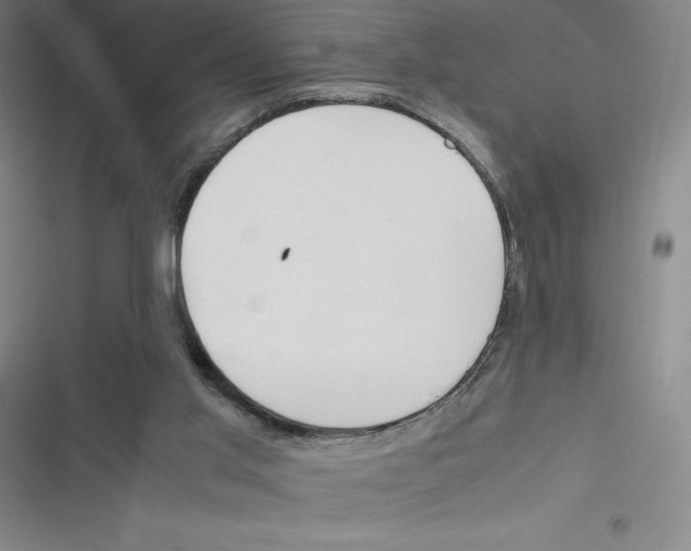 X0000116330013201001131034